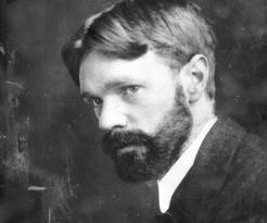 258_d h lawrence